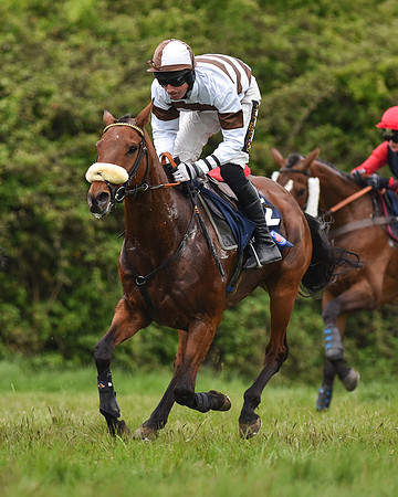 Race 6 - Open Maiden (39 of 56).jpg