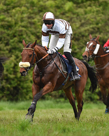 Race 6 - Open Maiden (40 of 56).jpg