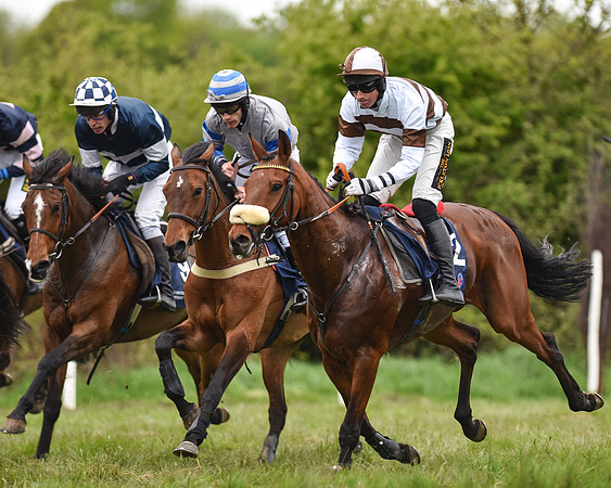 Race 6 - Open Maiden (41 of 56).jpg
