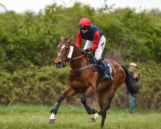 Race 6 - Open Maiden (42 of 56).jpg