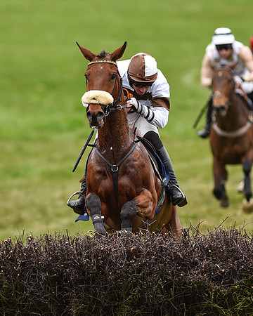 Race 6 - Open Maiden (43 of 56)-2.jpg