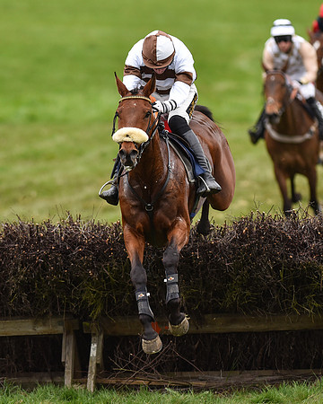 Race 6 - Open Maiden (45 of 56)-2.jpg