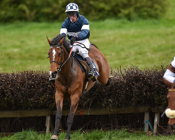 Race 6 - Open Maiden (48 of 56).jpg