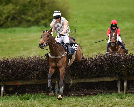 Race 6 - Open Maiden (50 of 56).jpg