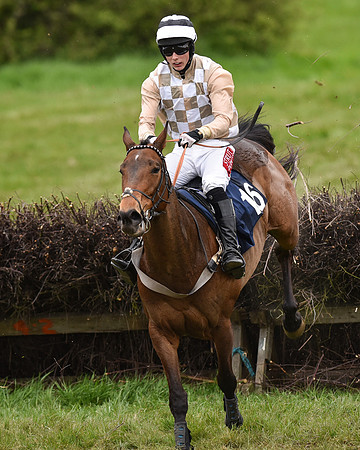 Race 6 - Open Maiden (51 of 56).jpg