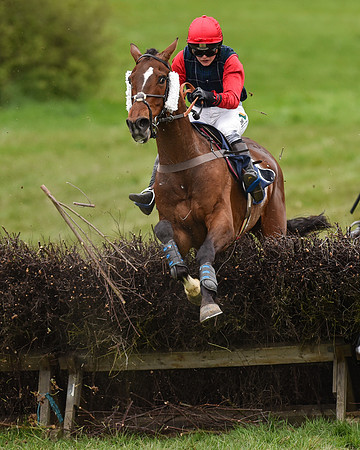 Race 6 - Open Maiden (53 of 56).jpg