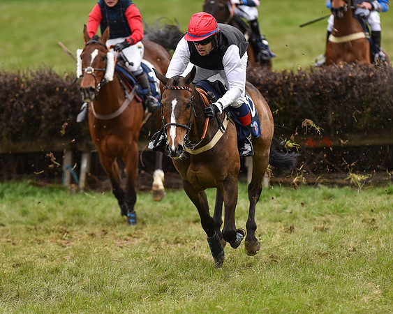 Race 6 - Open Maiden (54 of 56).jpg