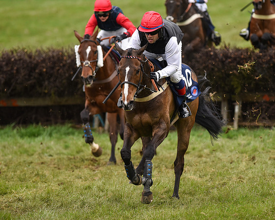 Race 6 - Open Maiden (55 of 56).jpg