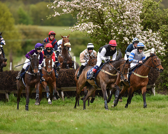 Race 6 - Open Maiden (25 of 56).jpg