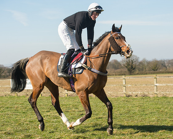 Race 1 Div 1 - 2M4F Maiden (36 of 117).jpg