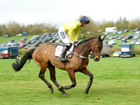 Race 5 - Restricted  9