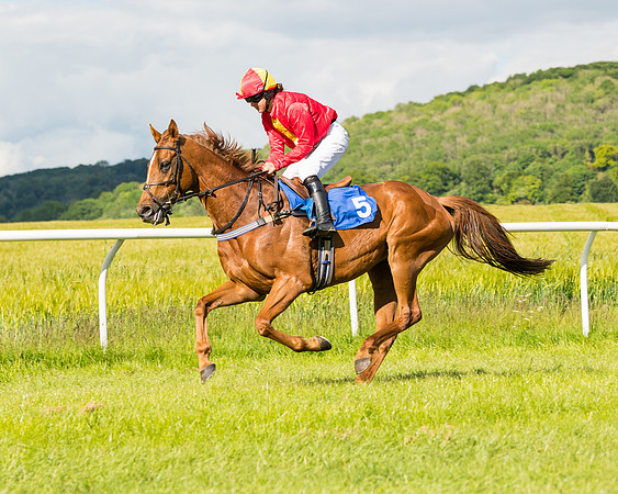 Race 5 - Restricted  (23 of 136)