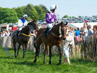 picture-3