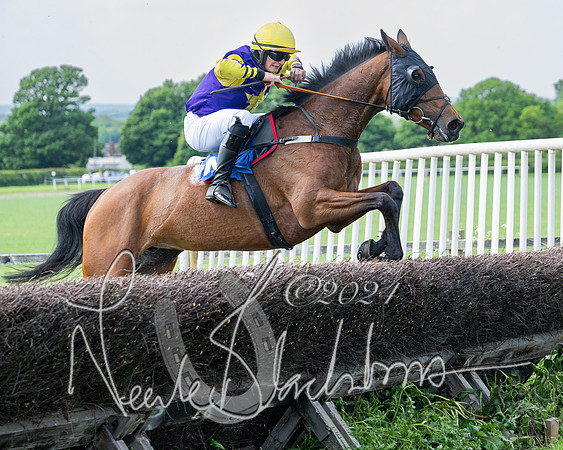 Race 2 - Restricted  (282 of 308)
