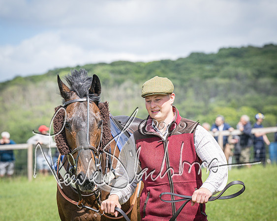 Race 1 - The owner-trainer Conditions race (12 of 118)