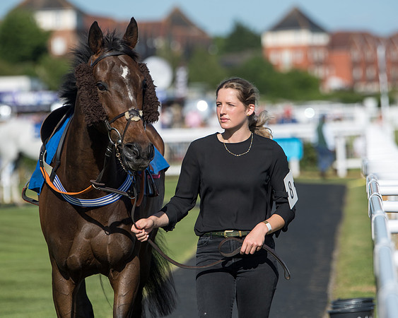 Race 1 - PPSA Open Hunter chase (16 of 78)