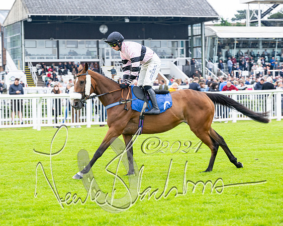 Race 3 - John Corbet Cup  (24 of 108)
