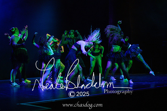 Rise festival-1022