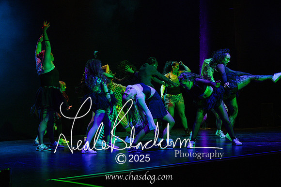 Rise festival-1024