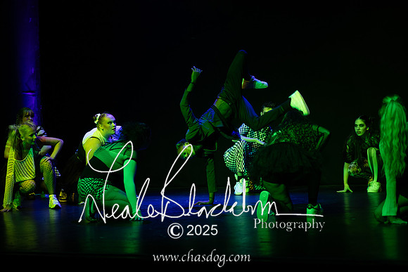 Rise festival-1105