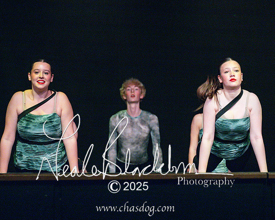 Rise festival-1529