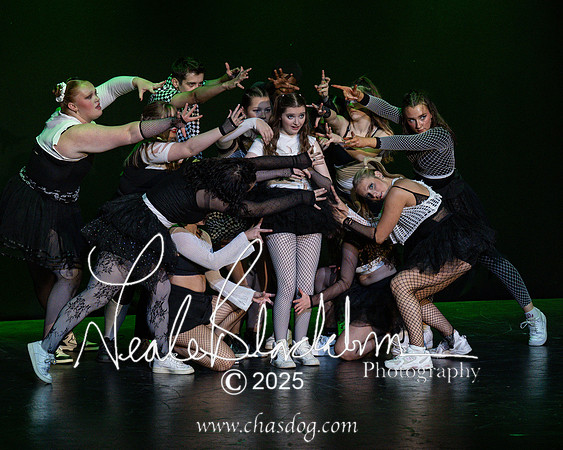 Rise festival-1602