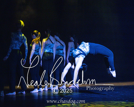 Rise festival-1008