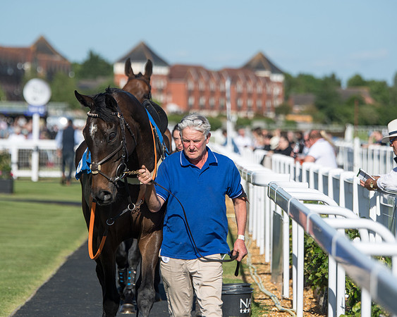 Race 1 - PPSA Open Hunter chase (9 of 78)