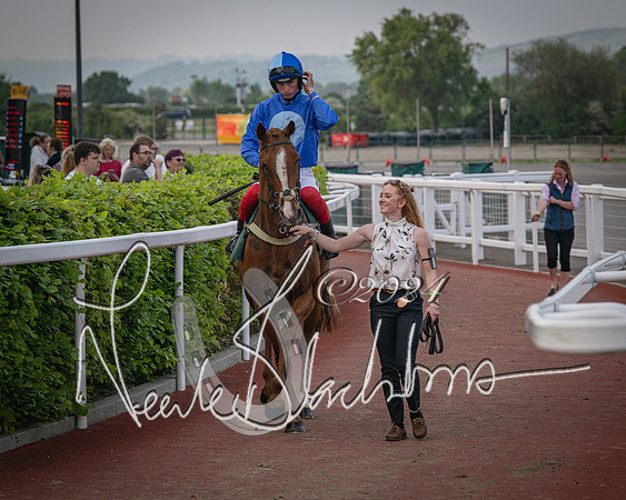 Race 5 - Mares Open Hunter Steeplechase 3m2f 70y (55 of 269)