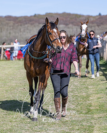 Race 5 - The restricted (6 of 113)