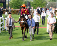 Race 1 - BottleGreen Open Hunter chase 2m 62y