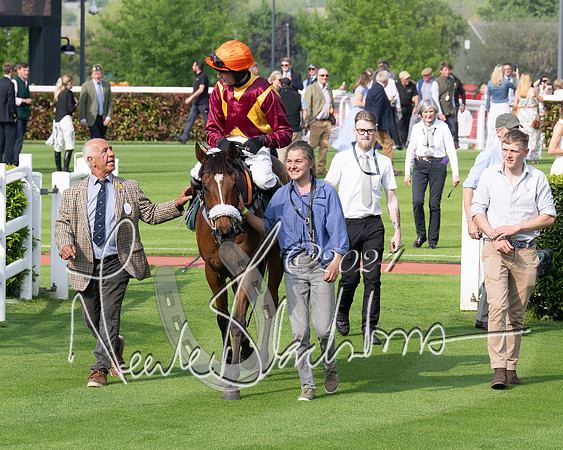 Race 1 - The Bottle Green Open Hunters steeplechase 2m62y (71 of 93)