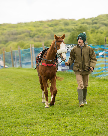 Race 1 - 138cm Pony Race (2 of 66).jpg