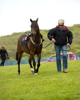 Race 1 - 138cm Pony Race (5 of 66).jpg