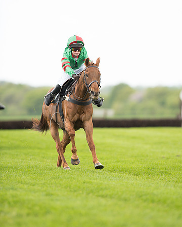 Race 1 - 138cm Pony Race (27 of 66).jpg