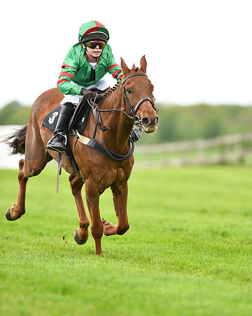 Race 1 - 138cm Pony Race (30 of 66).jpg