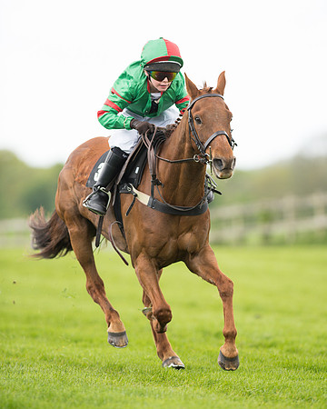 Race 1 - 138cm Pony Race (32 of 66).jpg