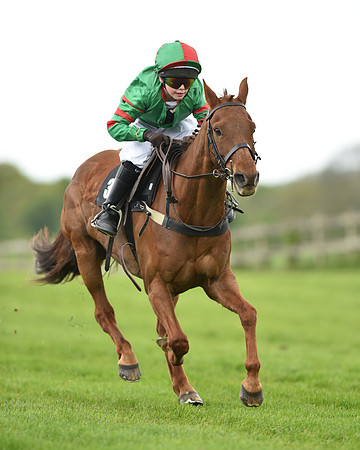 Race 1 - 138cm Pony Race (33 of 66).jpg