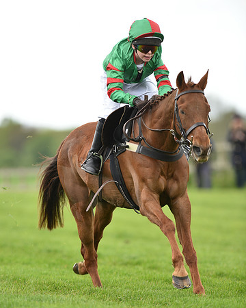 Race 1 - 138cm Pony Race (34 of 66).jpg