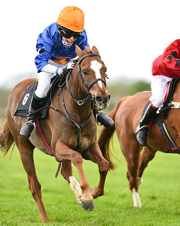 Race 1 - 138cm Pony Race (40 of 66).jpg