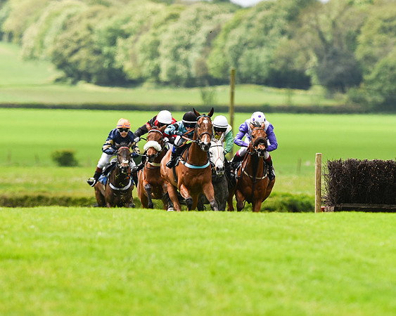 Race 2 - 148cm Pony Race (24 of 59).jpg