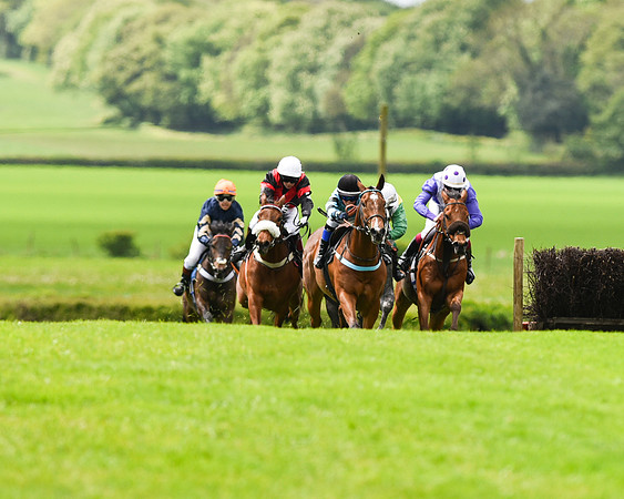 Race 2 - 148cm Pony Race (25 of 59).jpg
