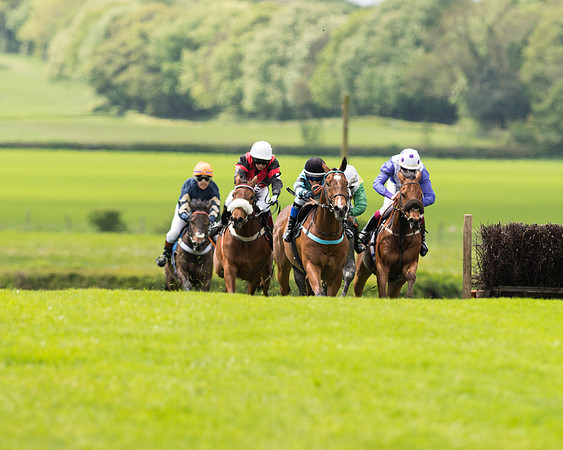 Race 2 - 148cm Pony Race (26 of 59).jpg
