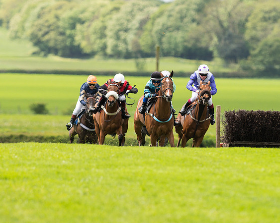 Race 2 - 148cm Pony Race (27 of 59).jpg