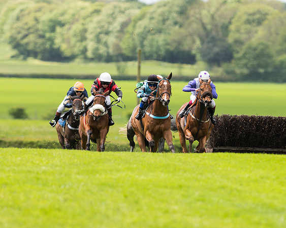 Race 2 - 148cm Pony Race (28 of 59).jpg