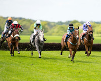 Pony Races