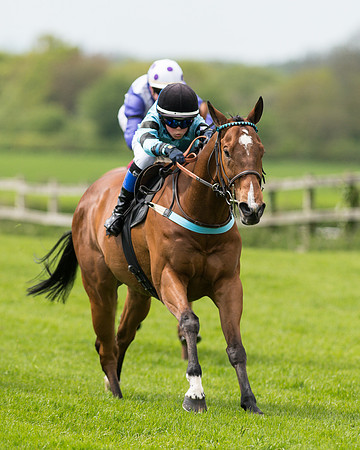 Race 2 - 148cm Pony Race (39 of 59).jpg