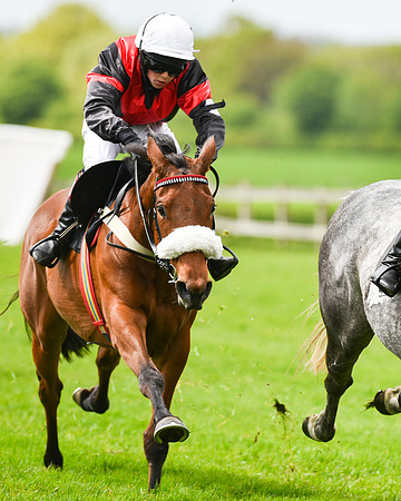 Race 2 - 148cm Pony Race (42 of 59).jpg