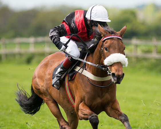 Race 2 - 148cm Pony Race (44 of 59).jpg