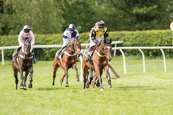 Race 3 - Ladies Open (48 of 81)